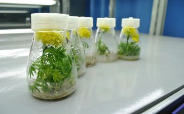 培养教育孩子的心得体会8篇