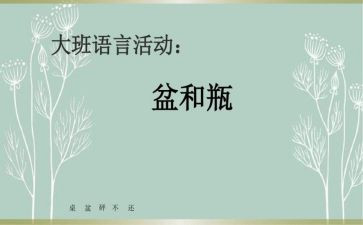 盆和瓶的心得体会精选5篇
