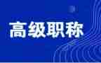 评高级教师个人述职报告5篇