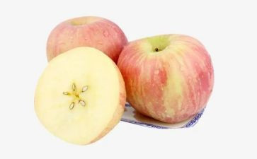 分苹果教案最新5篇