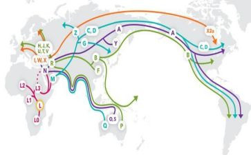 迁移证申请书最新8篇