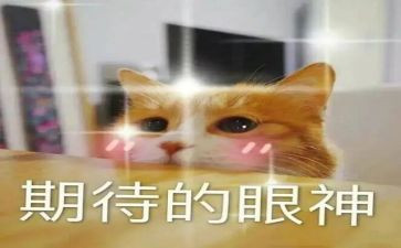 我期待初中作文7篇
