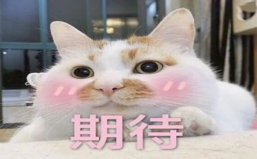 我期待作文600字8篇