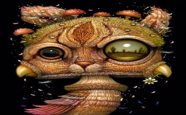 观少年派的奇幻漂流心得体会8篇
