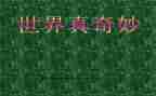 奇妙的数学国的读后感5篇