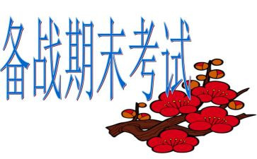 幼儿园个人期末总结报告5篇
