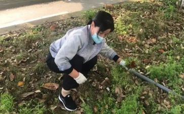 学校清垃圾活动方案8篇
