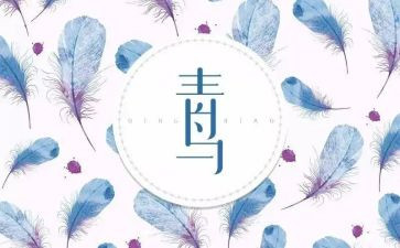 青鸟的心得体会5篇