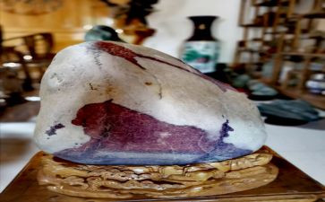 9黄山奇石教案6篇