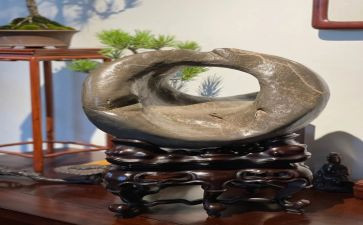 9黄山奇石教案模板6篇