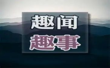 中秋趣事作文模板6篇
