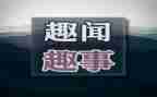 2024年暑假趣事作文300字7篇