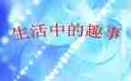 家庭趣事600字作文5篇
