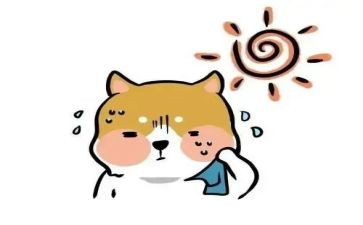 法律热点问题心得体会8篇