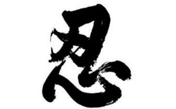 忍者观后感8篇
