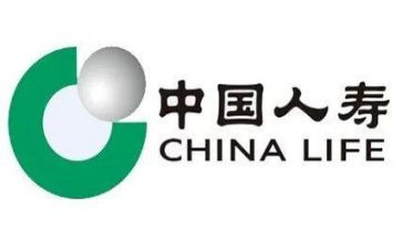中国人寿工作总结5篇