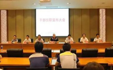 任职以来的工作总结5篇