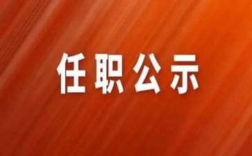 任职以来教师工作总结优秀6篇