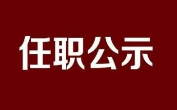 任职以来的专业技术工作总结7篇