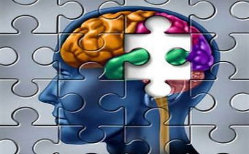 271教育认知心得体会8篇