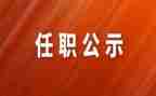 任职培训总结5篇