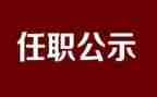 任职以来的专业技术工作总结7篇