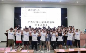 收入会计的工作总结5篇