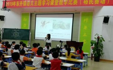 青年教师赛课活动方案5篇