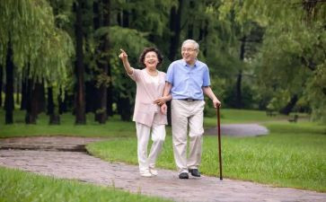 散步的心得体会7篇