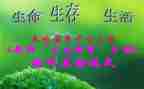 三生教育心得推荐7篇