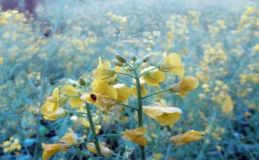 教师三月份工作计划6篇