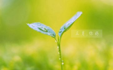 三月份小班工作总结精选8篇
