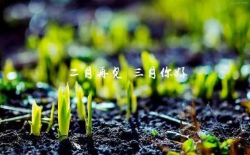 初三月考语文作文7篇