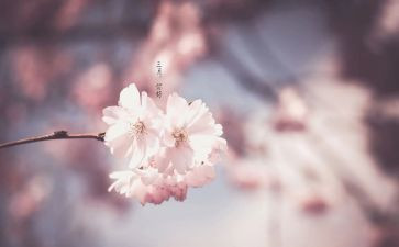小班幼儿三月总结6篇