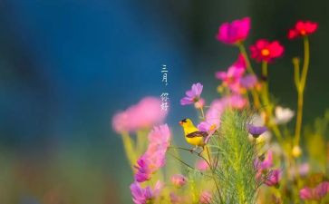 三月份销售工作总结5篇