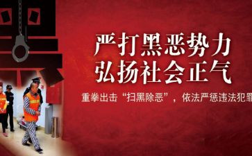 2024年扫黑除恶工作个人总结7篇