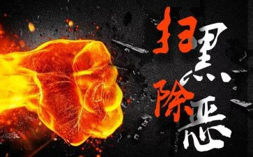 扫黑除恶半年度工作总结6篇