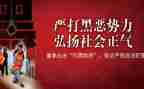 2024年扫黑除恶工作个人总结7篇