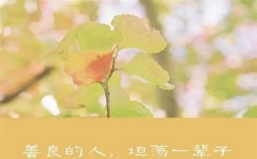 小学生善的演讲稿6篇
