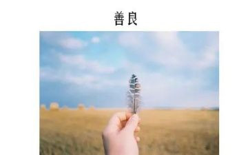 勇于担当善作为心得体会5篇