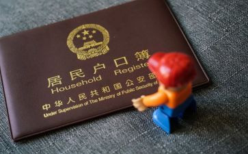 上户专员工作计划8篇