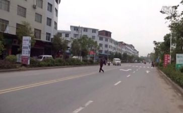 上栗调查报告优质5篇