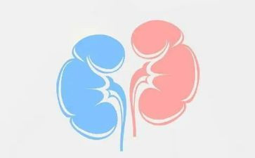 肾内科2024年工作总结通用6篇