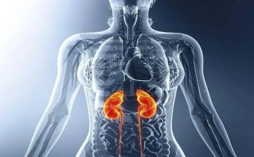 肾内科护士自我鉴定优质7篇