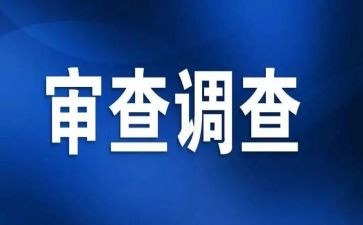 审查岗工作总结8篇