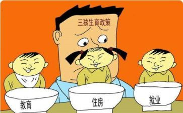 计划生育工作总结及计划优质8篇
