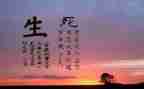 生与死演讲稿200字8篇