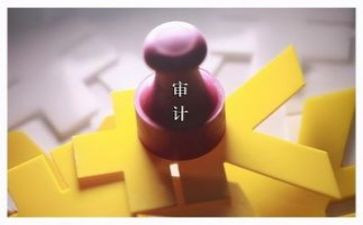 审计年度工作报告5篇