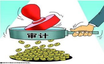 审计员的年度工作总结模板7篇