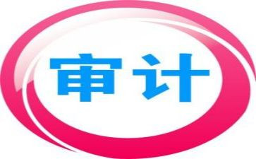 局审计工作计划模板8篇